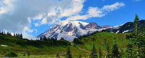 Preview wallpaper mountain, peak, snow, snowy, flowers, wildflowers