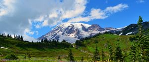 Preview wallpaper mountain, peak, snow, snowy, flowers, wildflowers