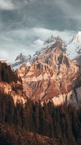 Preview wallpaper mountain, peak, snow, trees, nature