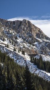 Preview wallpaper mountain, peak, snow, trees, slope