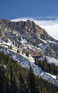 Preview wallpaper mountain, peak, snow, trees, slope