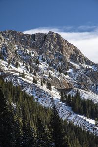 Preview wallpaper mountain, peak, snow, trees, slope
