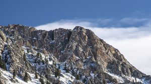 Preview wallpaper mountain, peak, snow, trees, slope