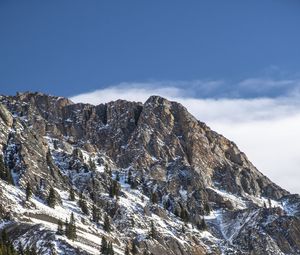 Preview wallpaper mountain, peak, snow, trees, slope