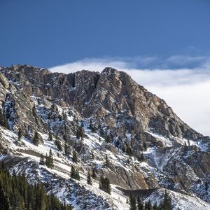 Preview wallpaper mountain, peak, snow, trees, slope