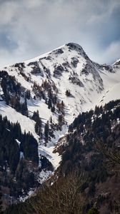 Preview wallpaper mountain, peak, snow, trees