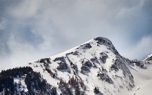 Preview wallpaper mountain, peak, snow, trees