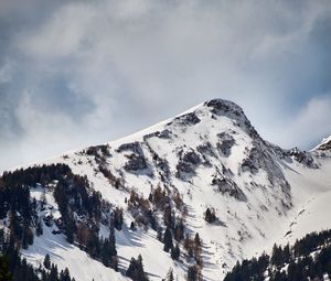 Preview wallpaper mountain, peak, snow, trees