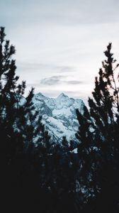 Preview wallpaper mountain, peak, snow, trees, branches, view