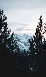 Preview wallpaper mountain, peak, snow, trees, branches, view