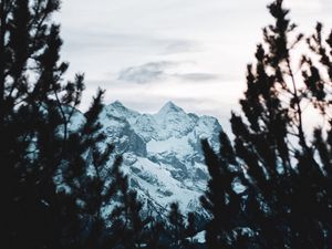 Preview wallpaper mountain, peak, snow, trees, branches, view