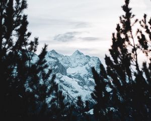 Preview wallpaper mountain, peak, snow, trees, branches, view