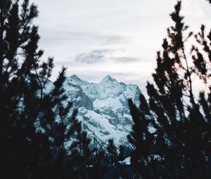 Preview wallpaper mountain, peak, snow, trees, branches, view