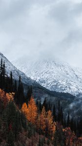 Preview wallpaper mountain, peak, snow, forest, trees, clouds, landscape