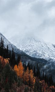 Preview wallpaper mountain, peak, snow, forest, trees, clouds, landscape