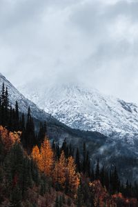 Preview wallpaper mountain, peak, snow, forest, trees, clouds, landscape