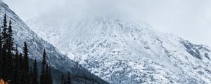 Preview wallpaper mountain, peak, snow, forest, trees, clouds, landscape