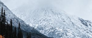 Preview wallpaper mountain, peak, snow, forest, trees, clouds, landscape