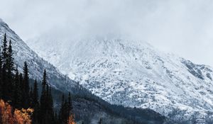 Preview wallpaper mountain, peak, snow, forest, trees, clouds, landscape