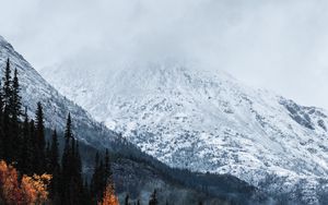 Preview wallpaper mountain, peak, snow, forest, trees, clouds, landscape