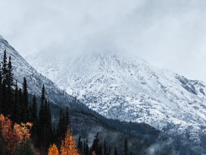 Preview wallpaper mountain, peak, snow, forest, trees, clouds, landscape