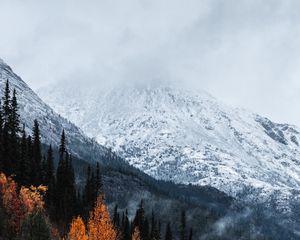 Preview wallpaper mountain, peak, snow, forest, trees, clouds, landscape