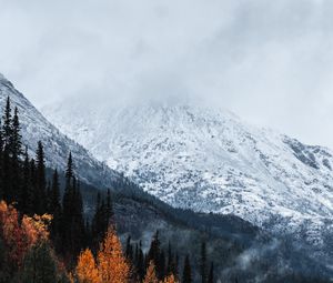 Preview wallpaper mountain, peak, snow, forest, trees, clouds, landscape