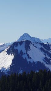 Preview wallpaper mountain, peak, snow, trees, winter, landscape