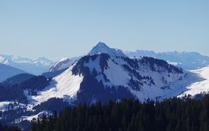 Preview wallpaper mountain, peak, snow, trees, winter, landscape