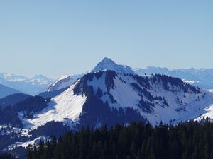 Preview wallpaper mountain, peak, snow, trees, winter, landscape