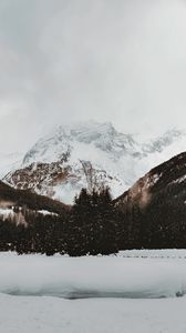 Preview wallpaper mountain, peak, snow, trees, winter, nature