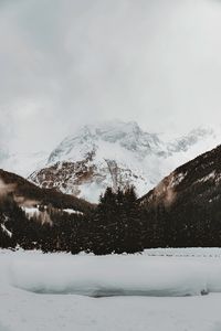 Preview wallpaper mountain, peak, snow, trees, winter, nature
