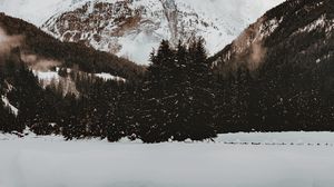 Preview wallpaper mountain, peak, snow, trees, winter, nature