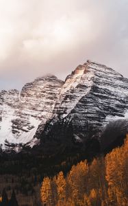 Preview wallpaper mountain, peak, snow, trees, landscape, nature