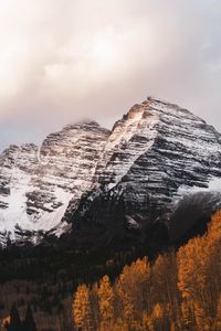 Preview wallpaper mountain, peak, snow, trees, landscape, nature