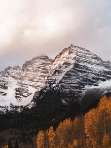 Preview wallpaper mountain, peak, snow, trees, landscape, nature