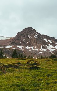 Preview wallpaper mountain, peak, snow, trees, nature, landscape