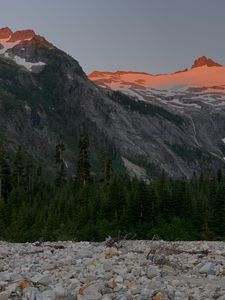 Preview wallpaper mountain, peak, snow, trees, nature, twilight