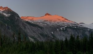 Preview wallpaper mountain, peak, snow, trees, nature, twilight