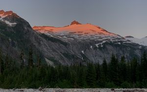 Preview wallpaper mountain, peak, snow, trees, nature, twilight