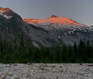 Preview wallpaper mountain, peak, snow, trees, nature, twilight