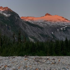 Preview wallpaper mountain, peak, snow, trees, nature, twilight