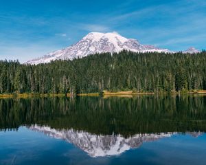 Preview wallpaper mountain, peak, snow, trees, lake, landscape