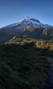 Preview wallpaper mountain, peak, snow, greenery, landscape