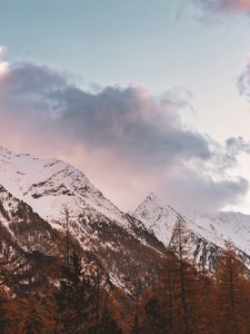 Preview wallpaper mountain, peak, snowy, clouds, trees, autumn, italy