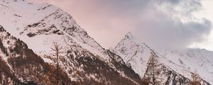 Preview wallpaper mountain, peak, snowy, clouds, trees, autumn, italy