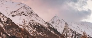 Preview wallpaper mountain, peak, snowy, clouds, trees, autumn, italy