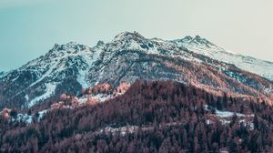 Preview wallpaper mountain, peak, snowy, village, sky