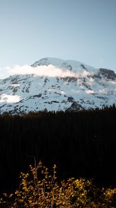 Preview wallpaper mountain, peak, snowy, forest, trees