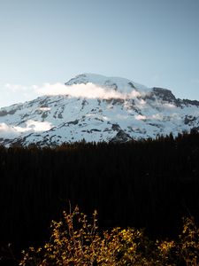 Preview wallpaper mountain, peak, snowy, forest, trees
